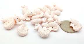 에스지(SG) 헤파악세사리 : 에스지