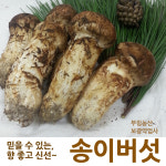 2023 송이버섯 능이버섯 자연산송이 선물세트 : 부림농산 영농조합법인