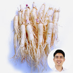 금산인삼 대명이네 인삼수삼 원삼소 10뿌리내외 (세척) 500g : 대명이네인삼농장