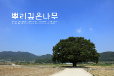 국어실롤스크린 방염 암막 포토블라인드 맞춤 제작 게시판 도서관인테리어 /송동민작가-403 : 포토인테리어
