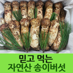 2023 송이버섯 능이버섯 자연산송이 선물세트 : 부림농산 영농조합법인