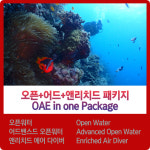 [마이다이버스]  PADI 오픈워터(OW) + 어드밴스드 오픈워터(AOW) + 엔리치드에어(EANx) 다이버 패키지 과정 : 마이다이버스