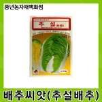 추설배추 2000립/ 재포, 내한성이 뛰어나 재배폭이 넓은 중생종 배추 씨앗 : 풍년농자재백화점