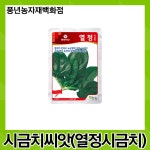 열정시금치 30g/엽색이 진하고 노균병에 강한 시금치 씨앗 : 풍년농자재백화점