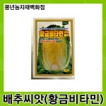 황금비타민김장배추 500립/항산화, 노화방지에 뛰어난 황금색 비타민 CR계 김장배추 씨앗 : 풍년농자재백화점