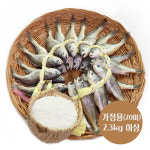 영광굴비 장줄 2.3K이상 , 가정용 두름상품, 20미, 힘바다 가락금호상회 도매 : 가락시장힘바다