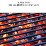 숯 진천 참숯 구이용 10kg 참숯가마 캠핑 고기 숯 숯불구이 생거진천 바베큐 BBQ : 가사도매상점