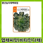 다채아시아비타민 4000립/비타민 함량이 월등히 많은 쌈채 씨앗 : 풍년농자재백화점