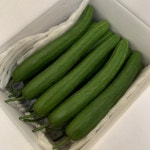 취청오이 클로렐라 먹고자란 청오이 上품 2.5kg : 완숙미인토마토