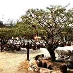 가을향기 유기농 간장 300ml 국 조선 집 3년숙성 장 : 수제식품점 이선