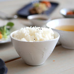 엘포레 밥공기 : 머그 shop