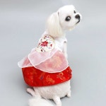 강아지 고양이 애견 한복 설빔 강아지옷 개량드레스 : 해피앤퍼피
