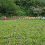 잡꿀 자연숙성꿀 셀포니 1kg : 셀포니