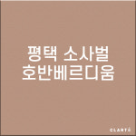 평택소사벌호반베르디움 H13헤파필터 (프리필터는 추가옵션에서 선택해주세요) : 클라떼