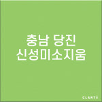[호환] 당진 신성미소지움 CLOSSIA 클로시아 공기청정기 헤파+탈취 복합필터 : 클라떼