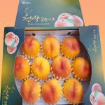 상주 딱복 말랑한 황도 백도 털복숭아 1.5kg 2.5kg 4kg : 백두농원- 복숭아와 곶감