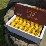 제주 고당도 비가림 감귤 : 포시즌팜