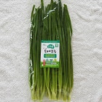 유기농 두메부추 500g : 농부의 장터