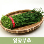 영양부추 2단  두리반농산 : 두리반 농산