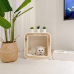 지트펫 강아지집 애견 하우스 화이트 중형 : 지트펫