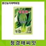 청경채 2000립/모양 좋고 수량도 최상인 청경채 씨앗 : 풍년농자재백화점