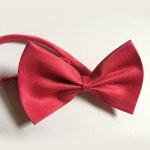 강아지보타이 강아지케이프 고양이리본 넥타이 애견용품 : 고블린