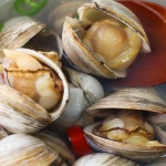 해감완료 동죽 동죽조개 모시 조개탕 고창 물총조개 1kg : 달빛도마