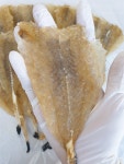 통아귀포 순살 꼬리 조미아귀포 300g : 삼천포수협 건어중매인70번
