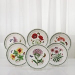 포트메리온 보타닉가든 중접시 21cm 모음전 : 연지곤지몰