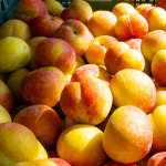 충주 오갑산농장 자두 제철 가을 추희자두 2kg,5kg : 아란 마켓