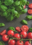 [특가세일] 월산식품 스테비아 완숙토마토 2kg, 토망고 : 월산식품