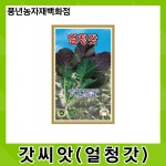 얼청갓 500g/녹색과 적색이 적절하게 어우러진 맛 좋고 생육이 우수한 갓 씨앗 : 풍년농자재백화점