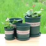 모스그린 플라스틱화분 인테리어 분갈이 플라스틱 거실 대형화분 10호(직경10cm) : 파파가든