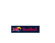 레드불 에너지드링크  250ml x 24캔 1박스  RedBull Energy Drink 고카페인음료 : 이반유통