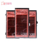 래쉬홀릭 다크브라운 속눈썹 : 올더뷰티