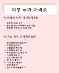 피부자격증 속성반 : stylebeauty