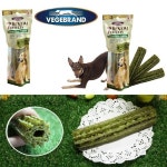 베게브랜드 세븐데이즈 덴탈 팝핀빅본 (1p) : 제이엔팩토리