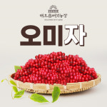 해오름농장 - 생오미자 10kg : 거창해오름농장