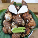 곡성 토란 1kg 깐토란 500g 건토란대 150g : 목화골 우리농산