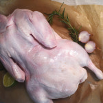 통오리 2KG 백숙 무항생제 오리고기 : 플랫팜