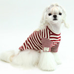 이츠독 스타 베어 3XL 강아지 티셔츠 애견 긴팔티 중형견 봄 가을 옷 : PICKYSHOP 피키샵