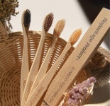 (10개 구성) 플라스틱제로 자연 생분해 되는 친환경 대나무 칫솔 10개 (컬러 랜덤) : 원더풀위켄드