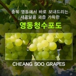 충북 영동 머루포도 MBA 3송이내 청수 청포도 5송이내 1.5kg 아이스박스 산지직송 : 한스네