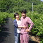 순창 오미자 발효 원액 1L : 싱싱박스