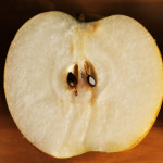 유기농 배 가정용 5k 열린농원 원황 추황 신고 화산 : 둘러앉은밥상