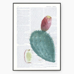 선인장 꽃 그림 식물 보태니컬아트 침실 거실 홈 오피스 실내인테리어 DA360 : 삼영홈데코