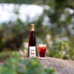 강원평창진이네 생 오미자청 햇 오미자원액 효소 즙 액기스 선물세트 답례품 750ml  2병 : 평창진이네 오미자농장