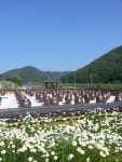 직접재배한 우리콩 전통 메주 : 전통장 오가향