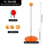 다이어트 핏퐁 핑퐁 홈스매싱 집에서 코로나 셀프 탁구 초등학생 집콕놀이 : 캐슬볼