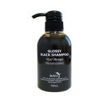 로이드 컬러샴푸 글로시블랙 300ml : 초이스재팬